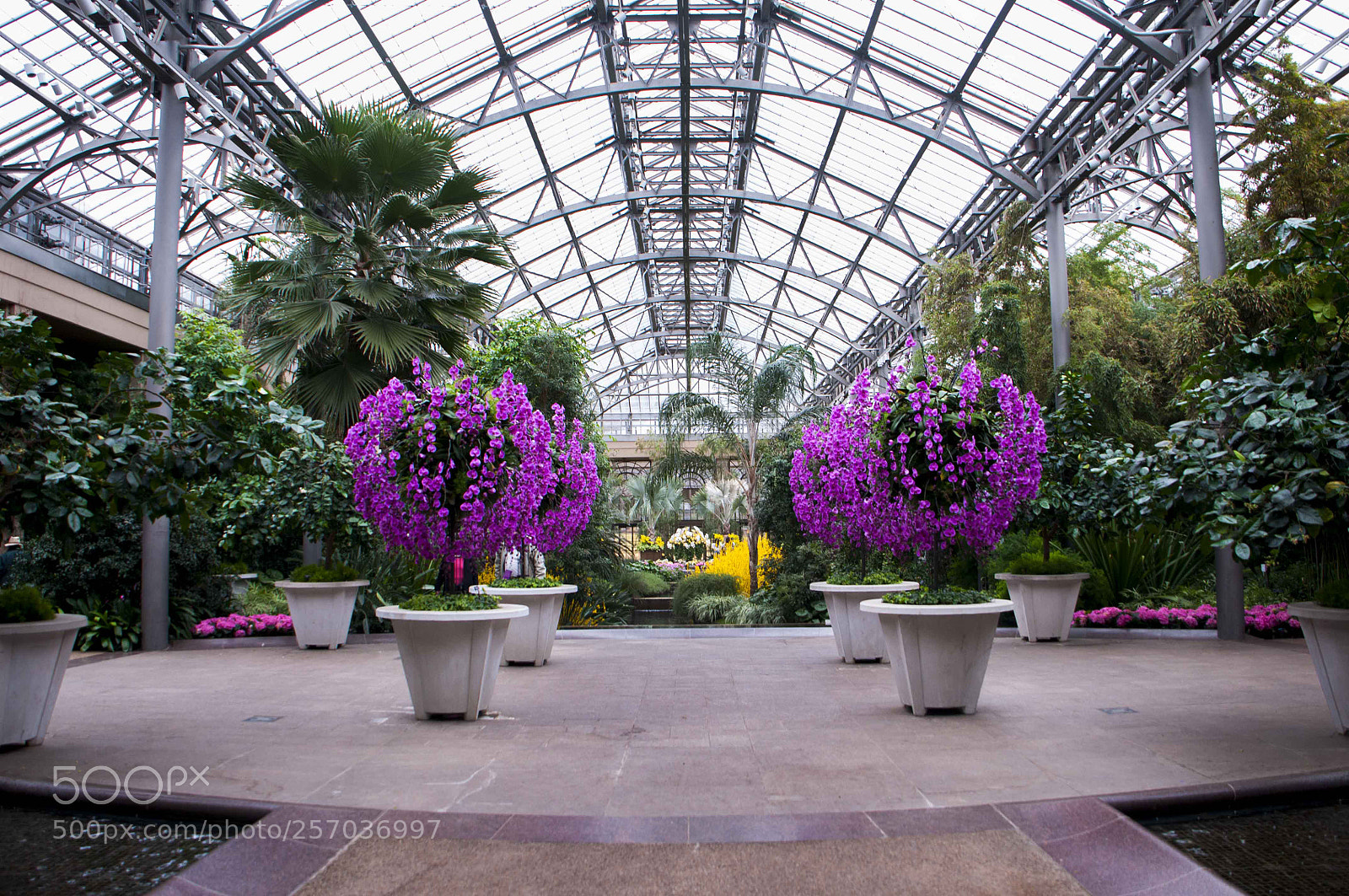 Nikon D300 sample photo. Indoor botanical garden photography