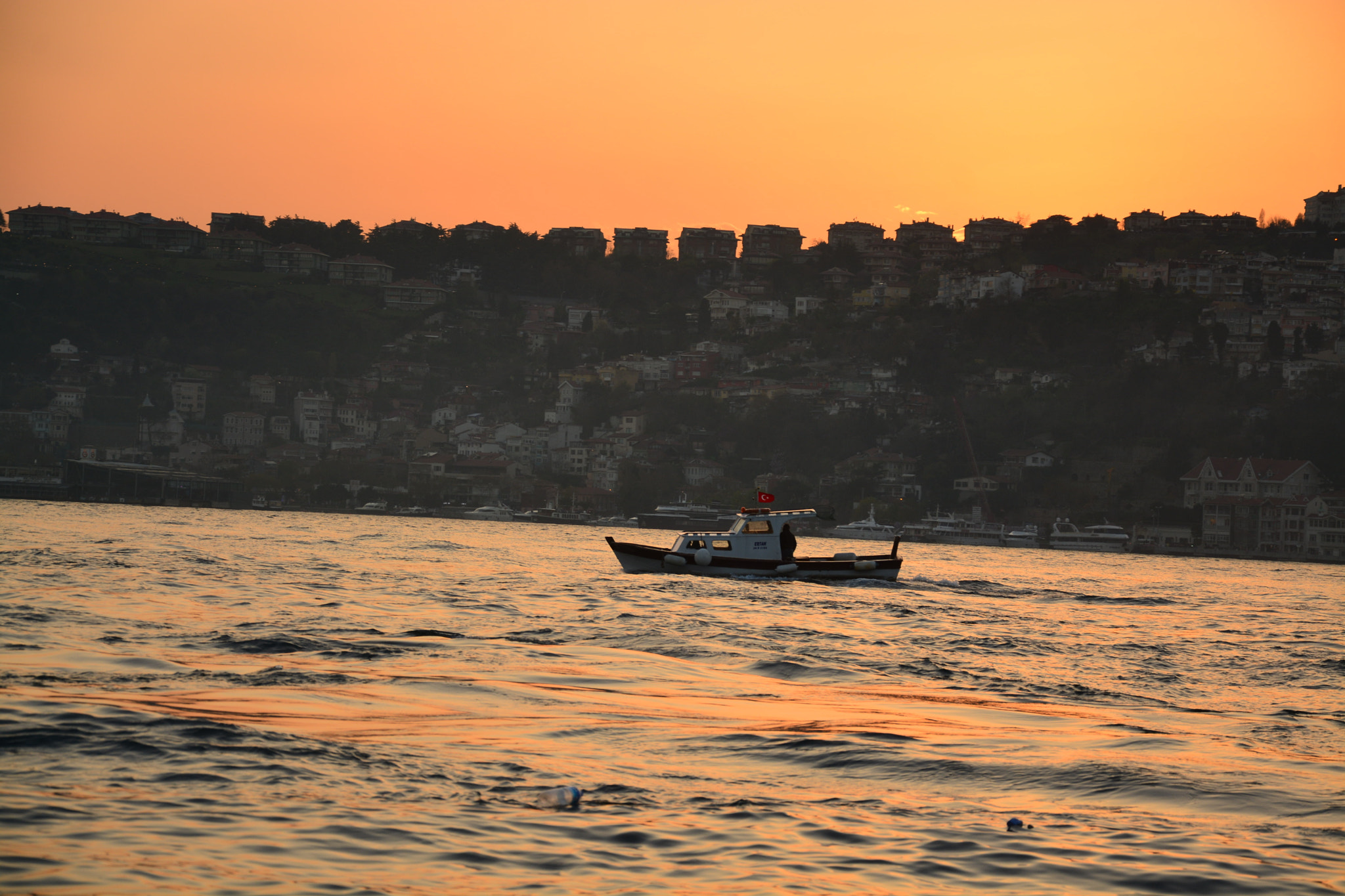 Nikon D7100 sample photo. Brn photography