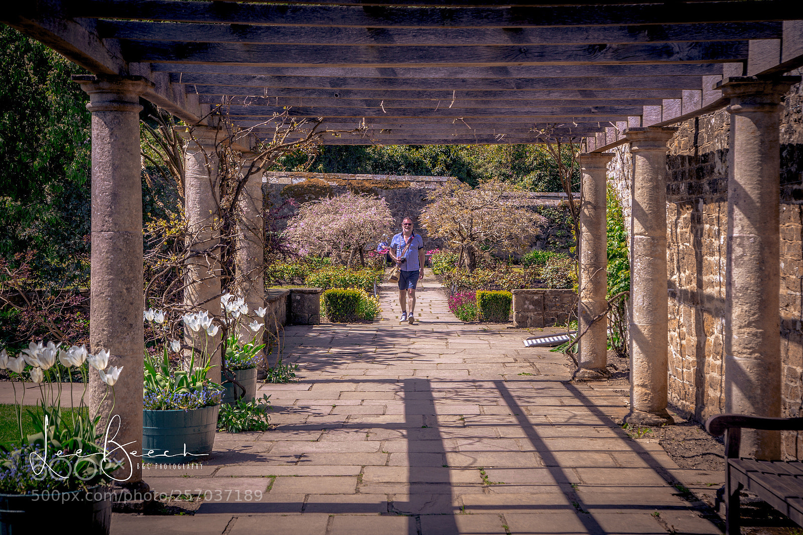 Canon EOS 6D sample photo. Walk in the gardens  photography