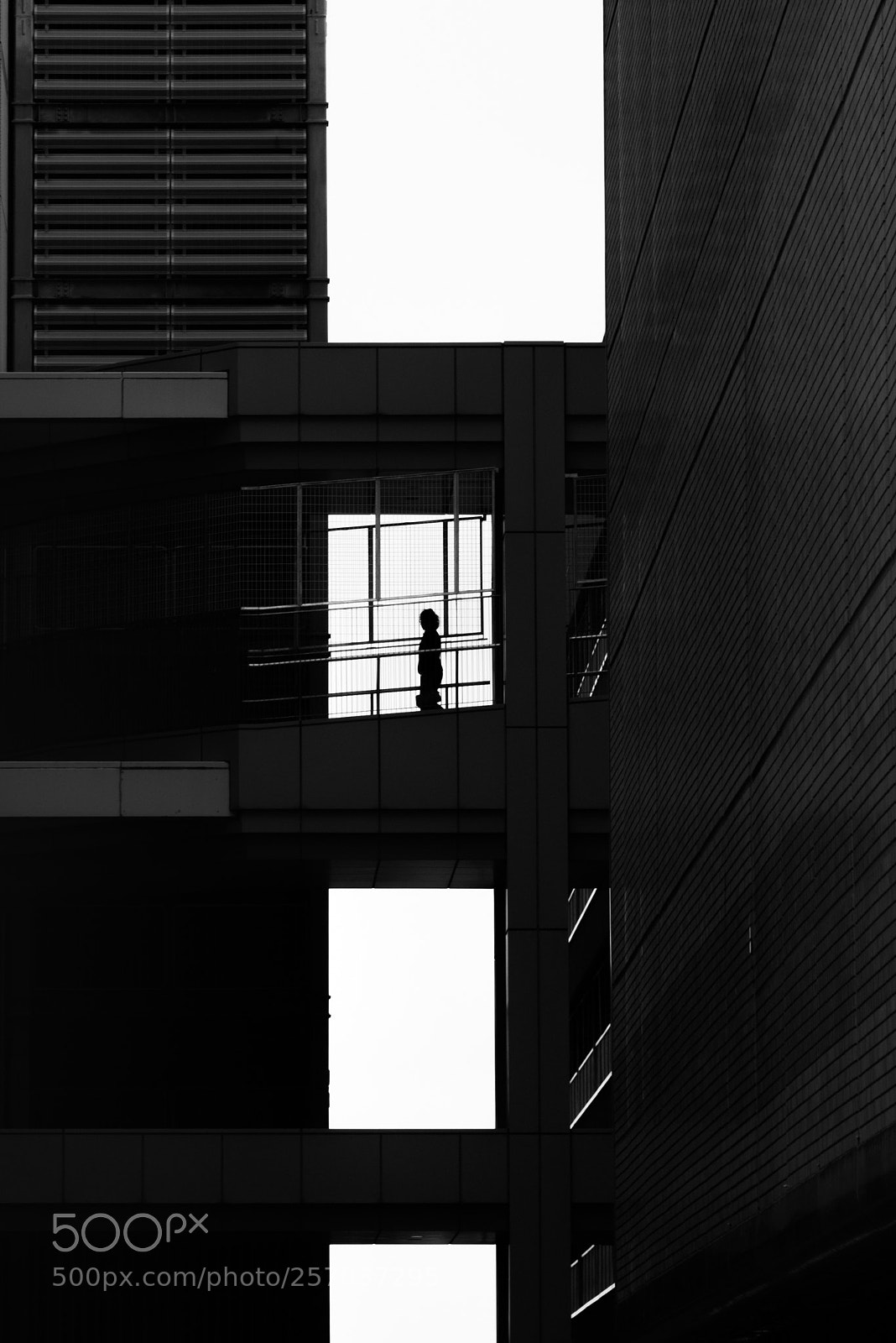 Nikon D800E sample photo. Silhouetted woman photography
