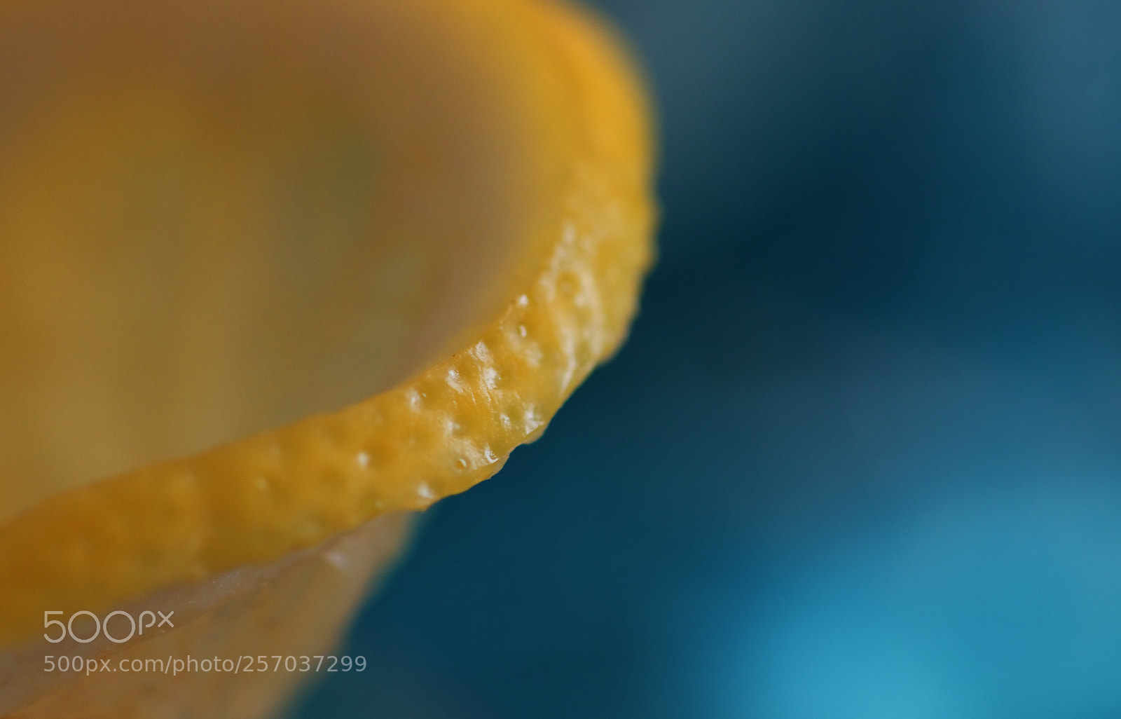 Canon EOS 77D (EOS 9000D / EOS 770D) sample photo. Fraîcheur... photography