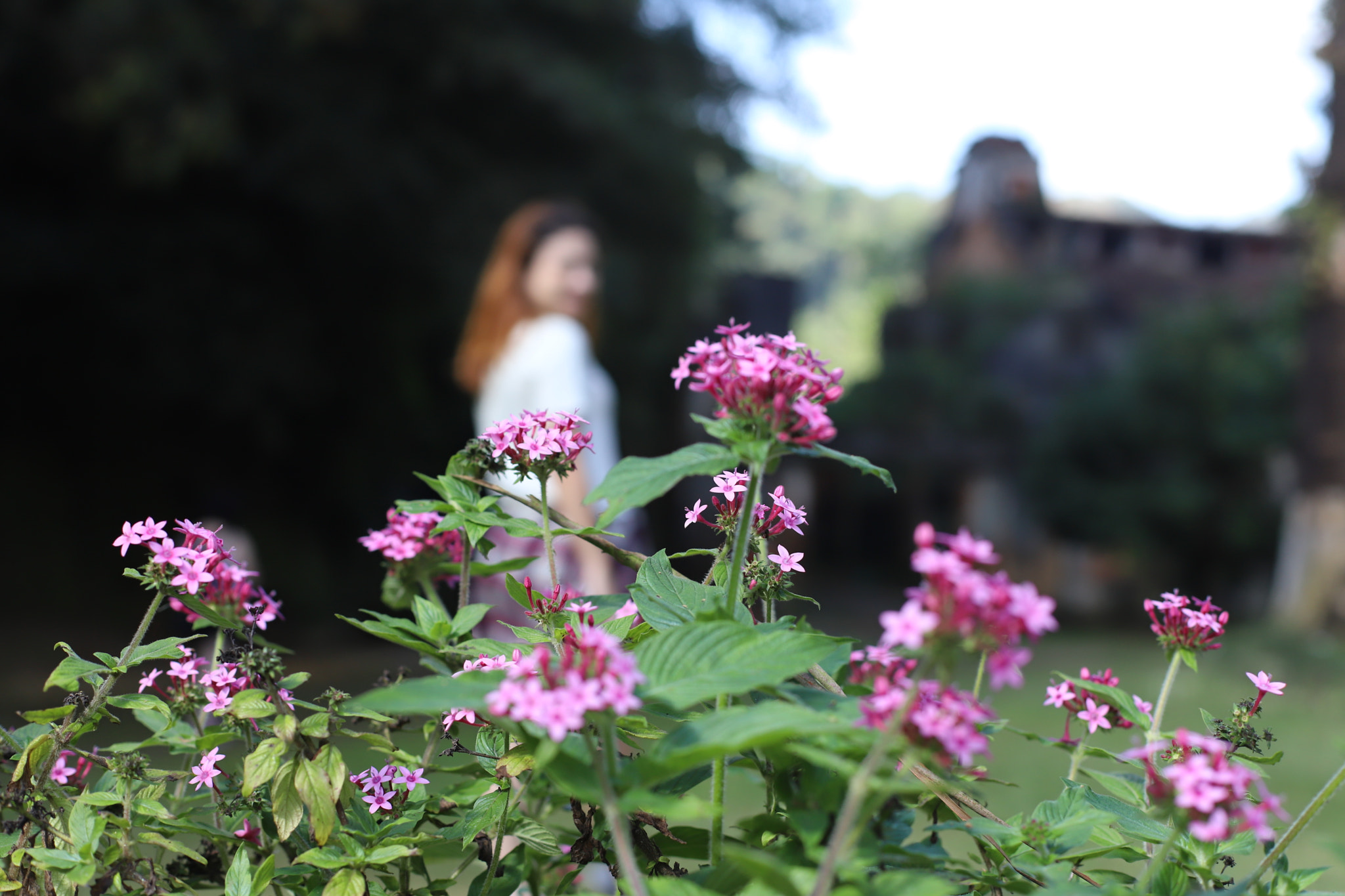 Canon EOS 6D Mark II sample photo