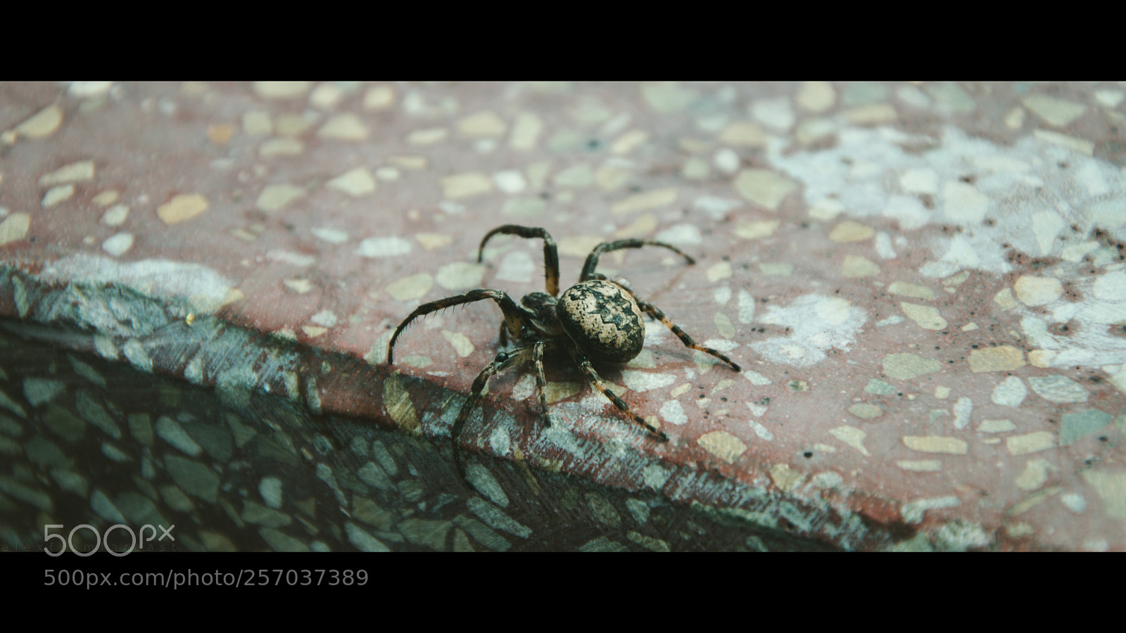 Nikon D3200 sample photo. F u r r photography