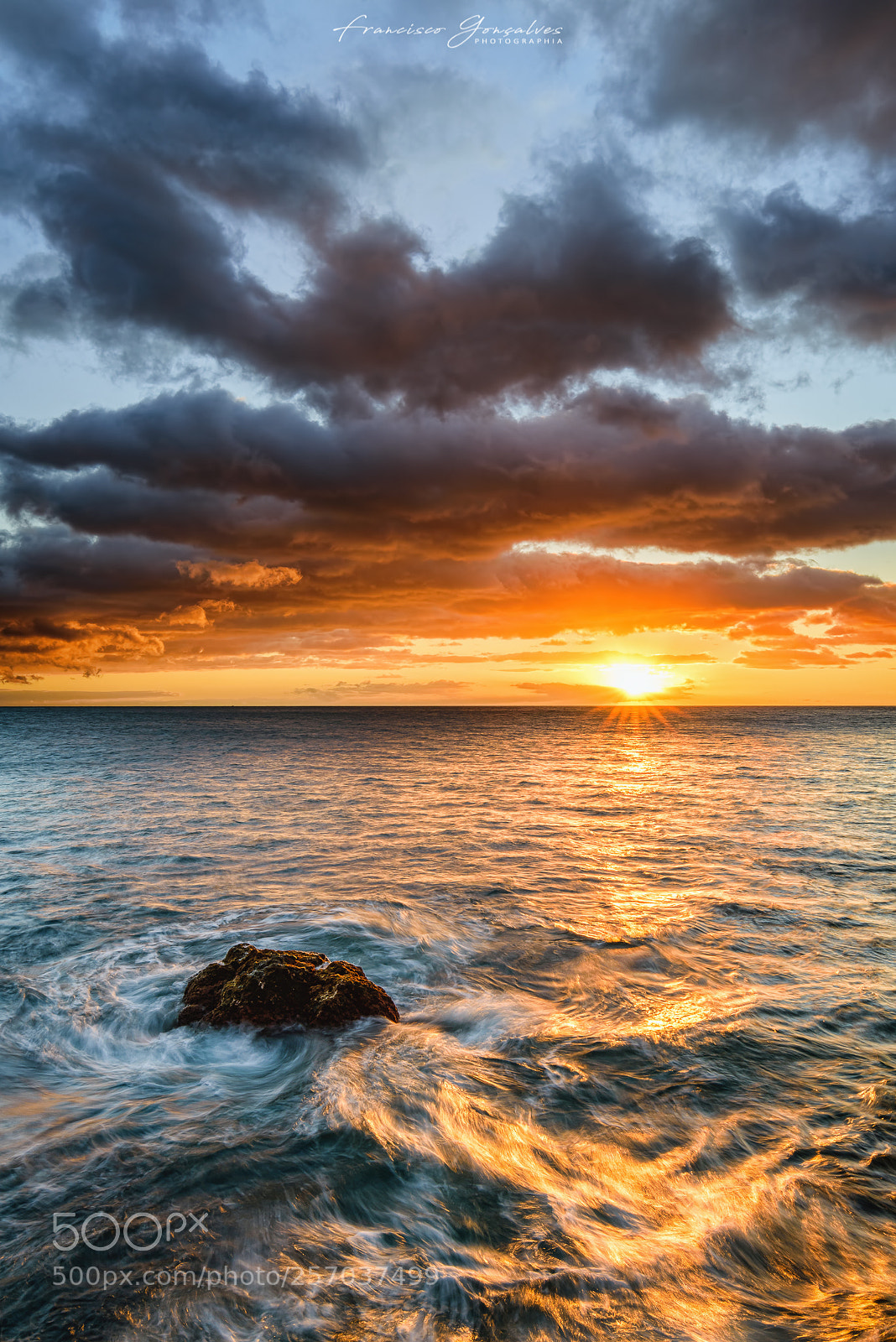 Nikon D810 sample photo. The shape of water photography