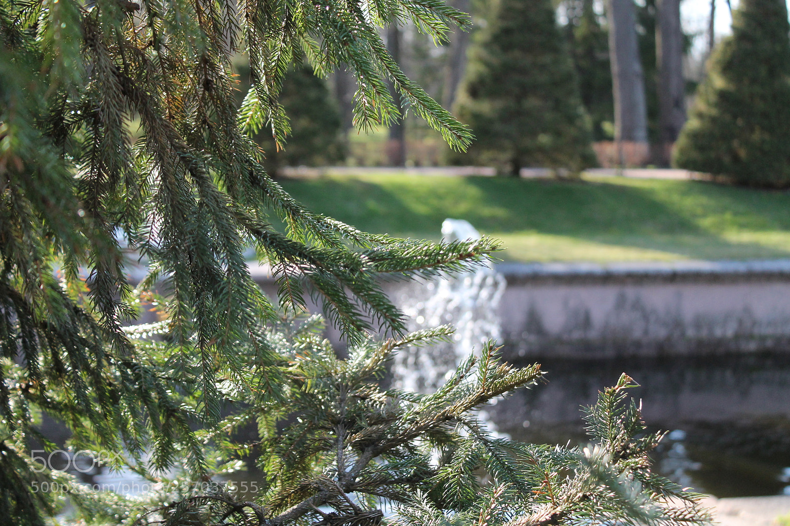 Canon EOS 1100D (EOS Rebel T3 / EOS Kiss X50) sample photo. Fountain through tree photography