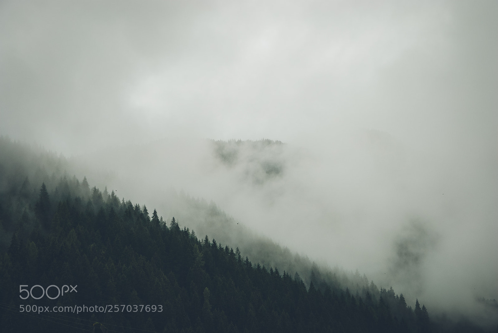 Nikon D80 sample photo. Mountains in the clouds photography