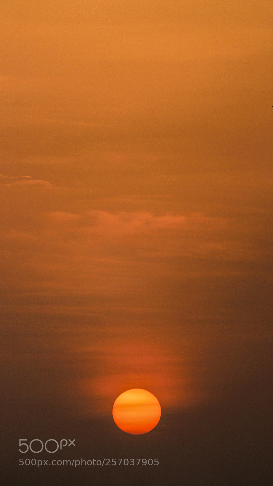 Canon EOS 700D (EOS Rebel T5i / EOS Kiss X7i) sample photo. Sunset clean sky photography