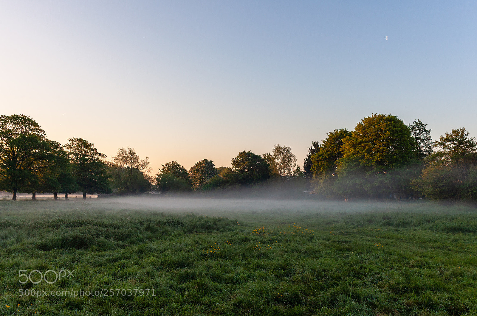 Canon EOS 5D Mark II sample photo. Mist over hardings moor photography