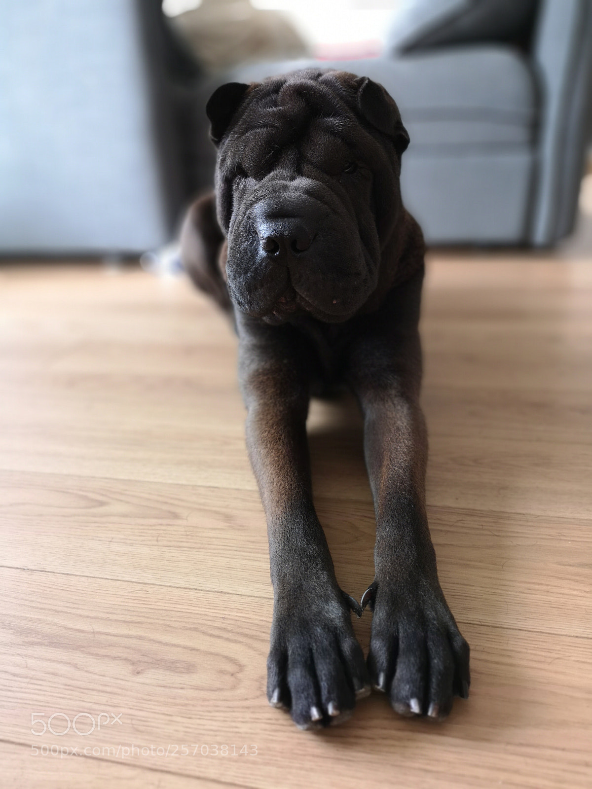 HUAWEI CLT-L29 sample photo. Tranquille photography