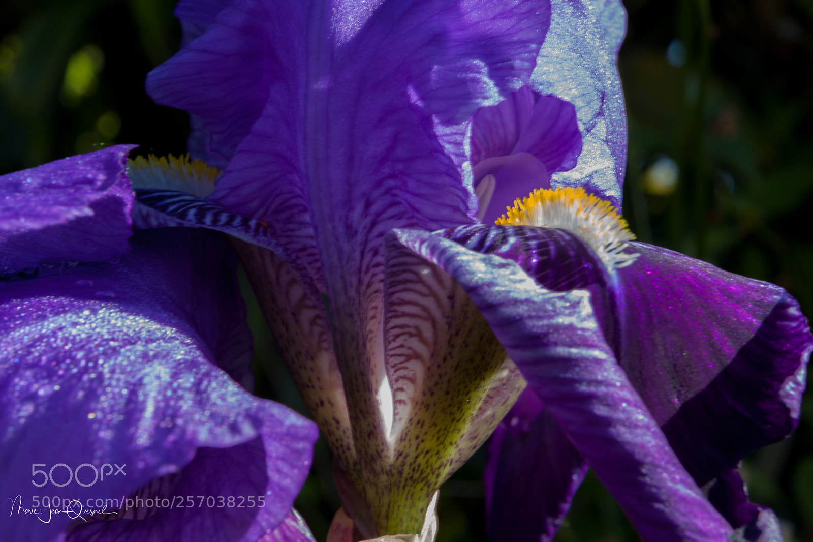 Canon EOS 5D Mark II sample photo. Harmonie de couleurs. photography