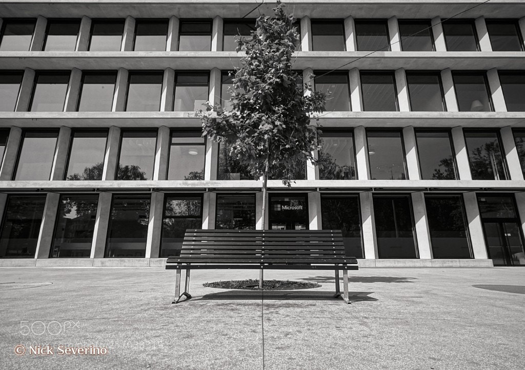 Sony a7R sample photo. Bench in the city photography