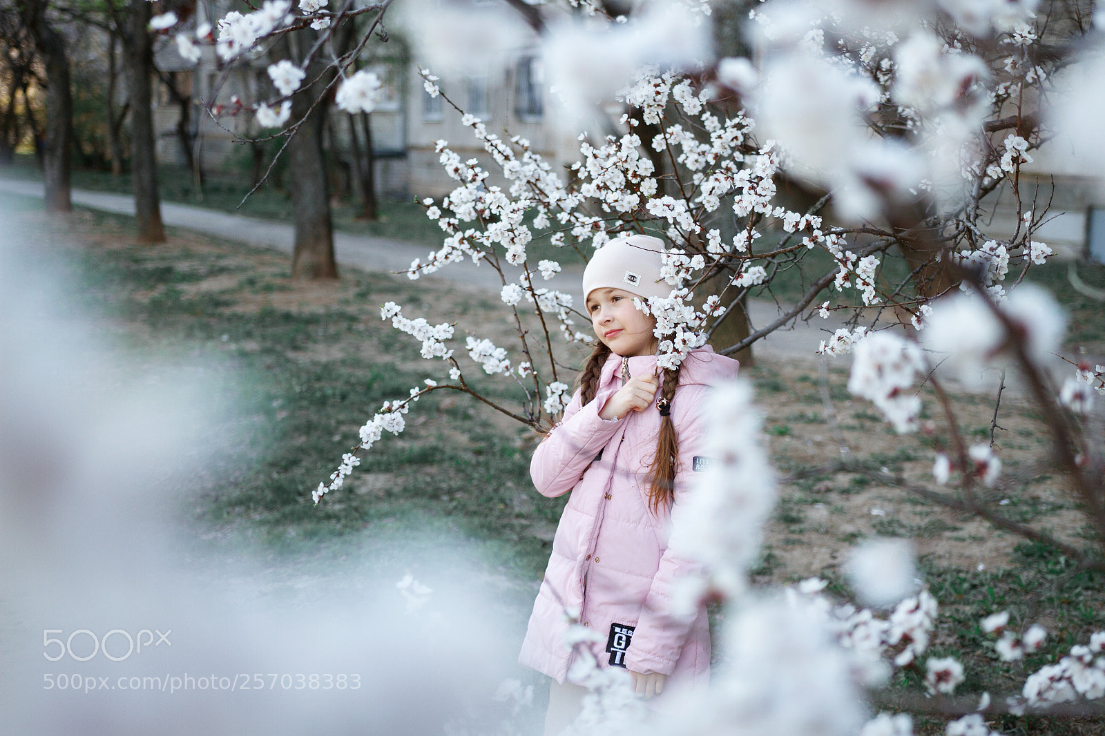 Canon EOS 7D sample photo. Img photography