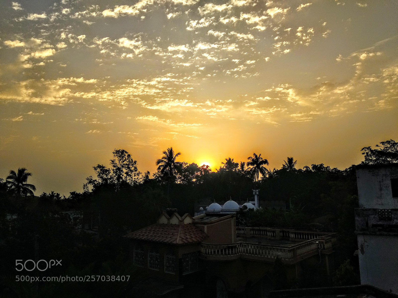 Xiaomi Mi A1 sample photo. Untitled photography