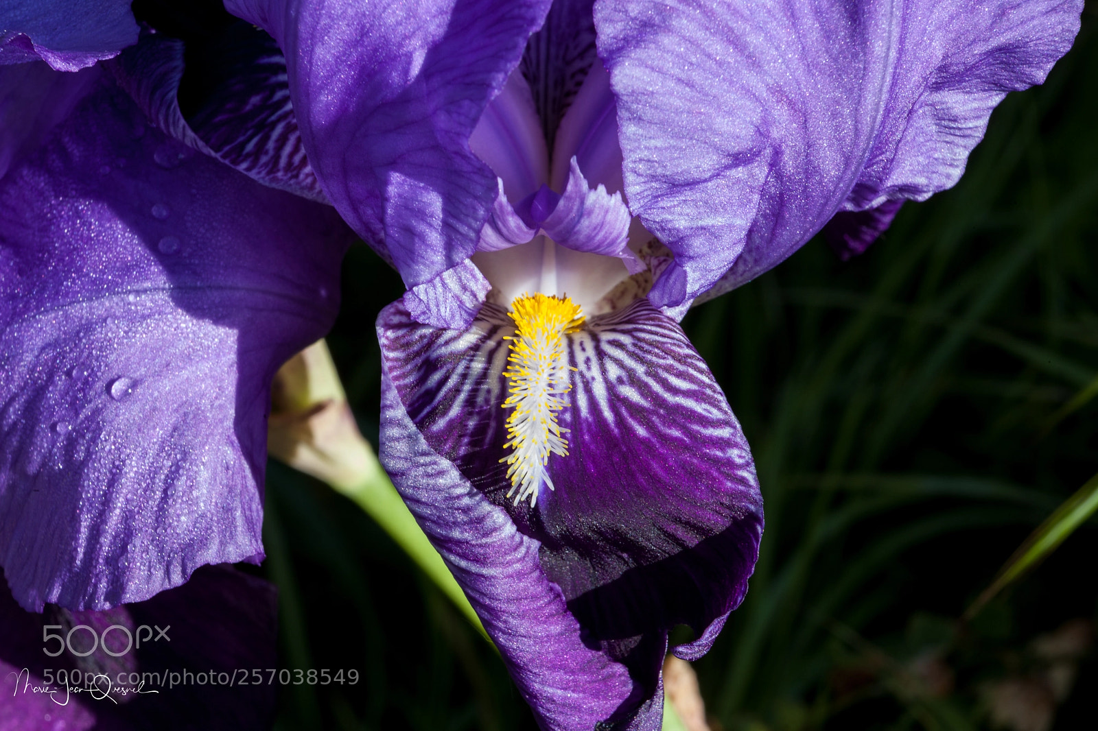 Canon EOS 5D Mark II sample photo. Air d'atterrissage color photography
