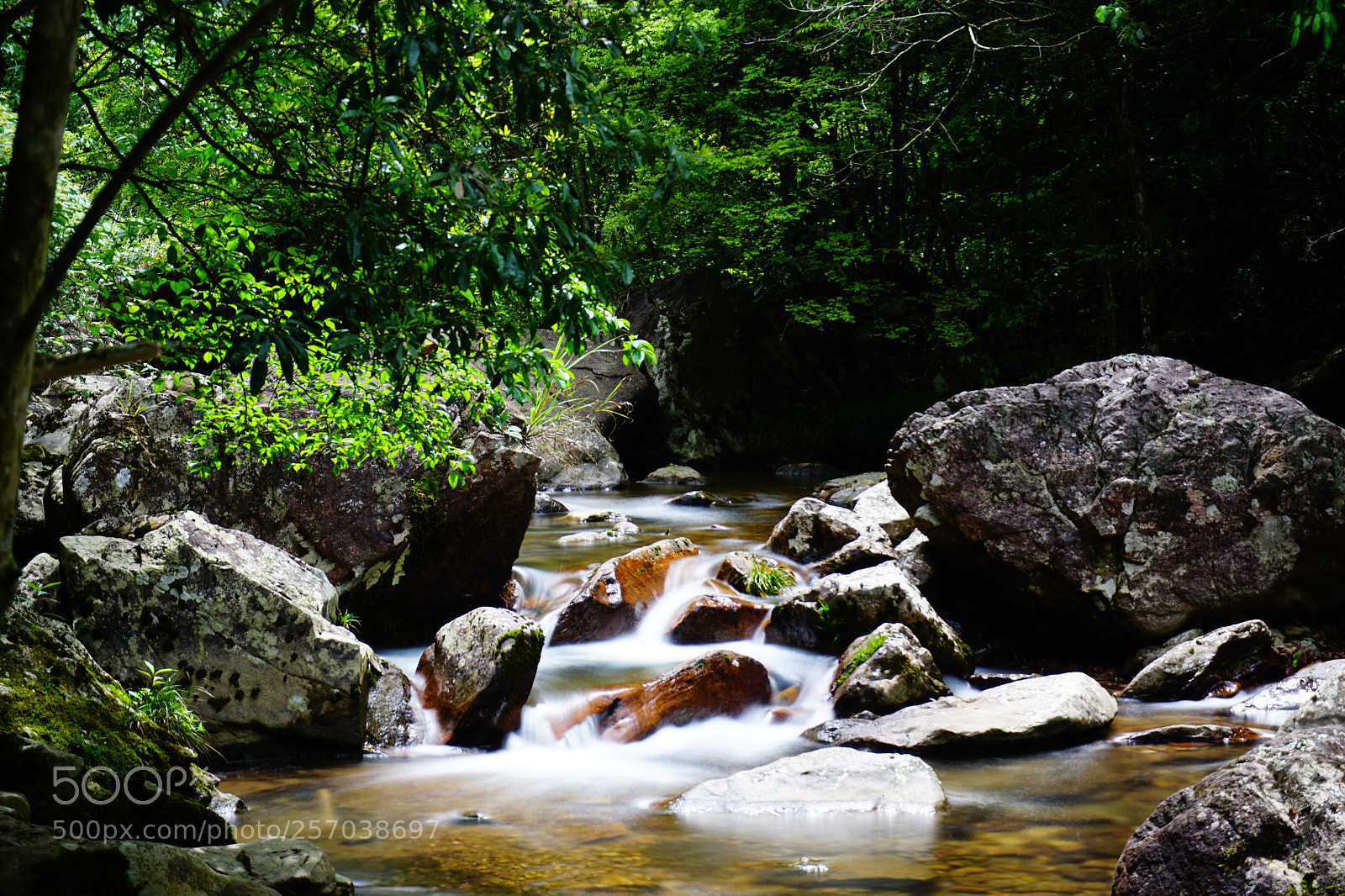 Sony a6000 sample photo. Mount qianfo in suichang photography