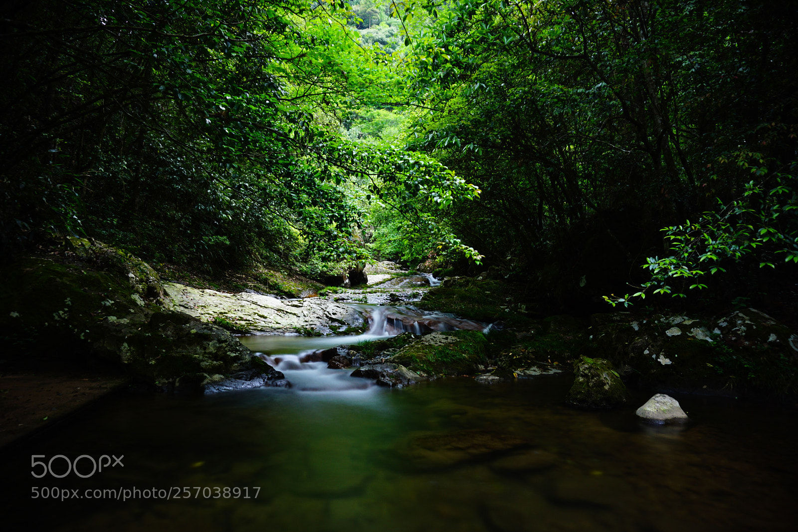 Sony a6000 sample photo. Mount qianfo in suichang photography