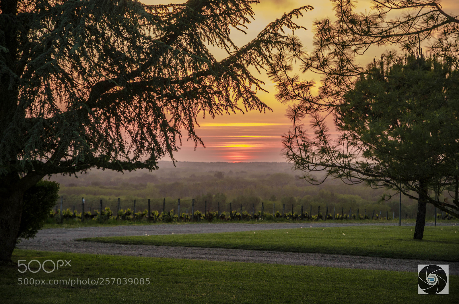 Nikon D5100 sample photo. Coucher photography