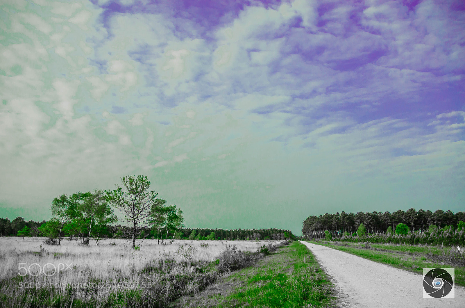 Nikon D5100 sample photo. La folie photography
