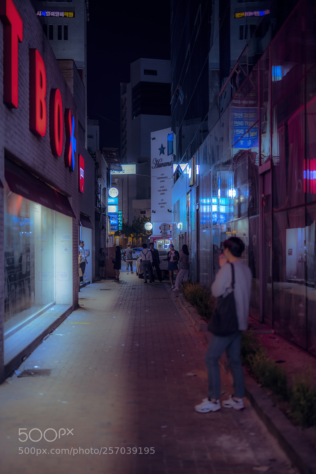 Nikon D850 sample photo. Further photography