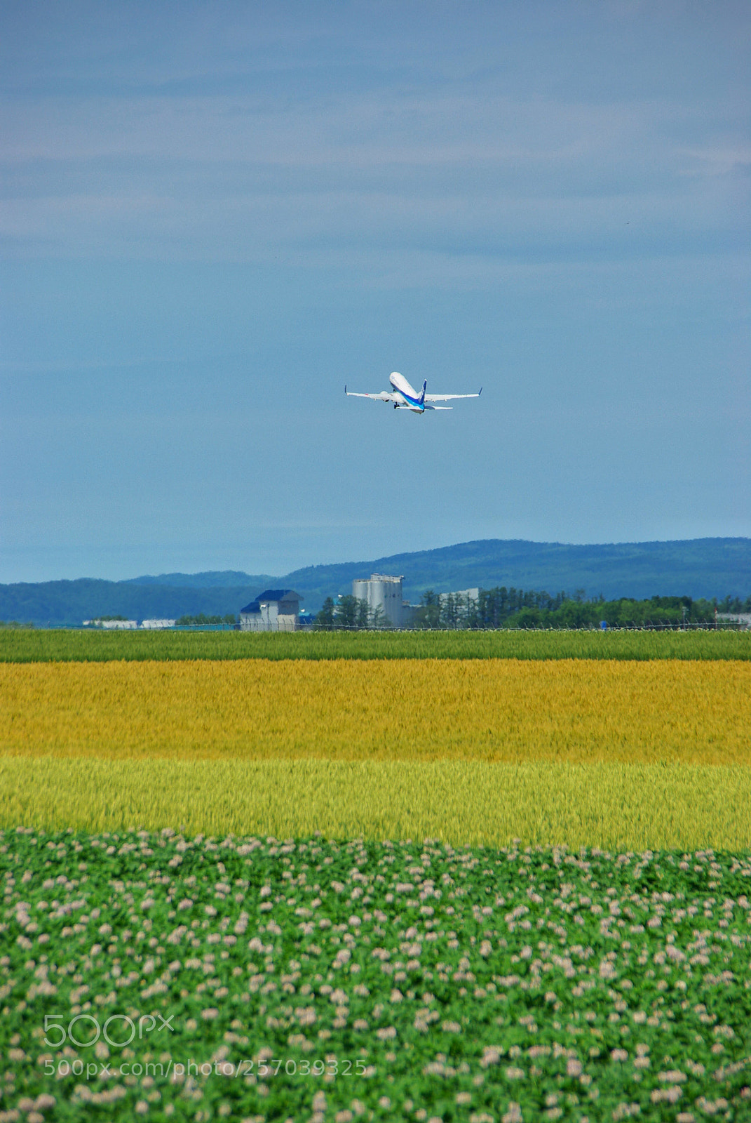 Pentax K10D sample photo. Floral airport  photography
