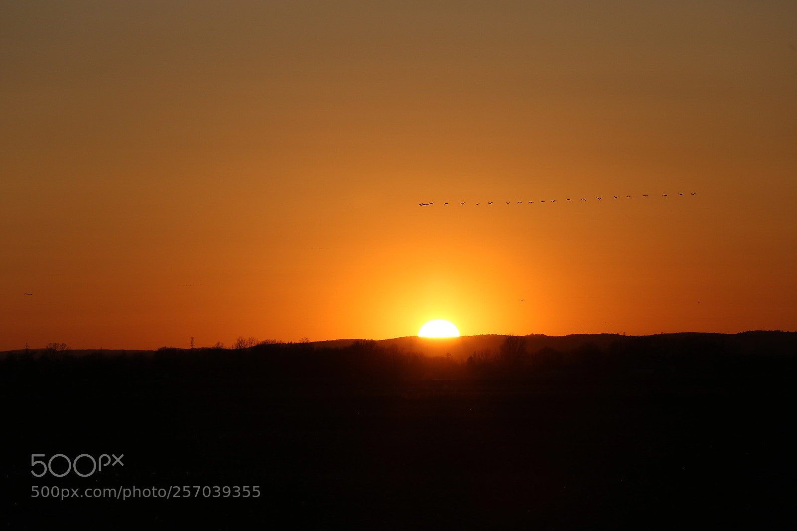Canon EOS 6D sample photo. Sunset printemps photography