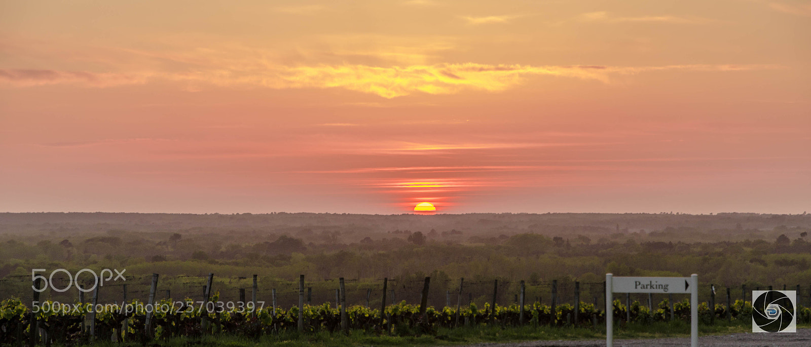 Nikon D5100 sample photo. Coucher photography