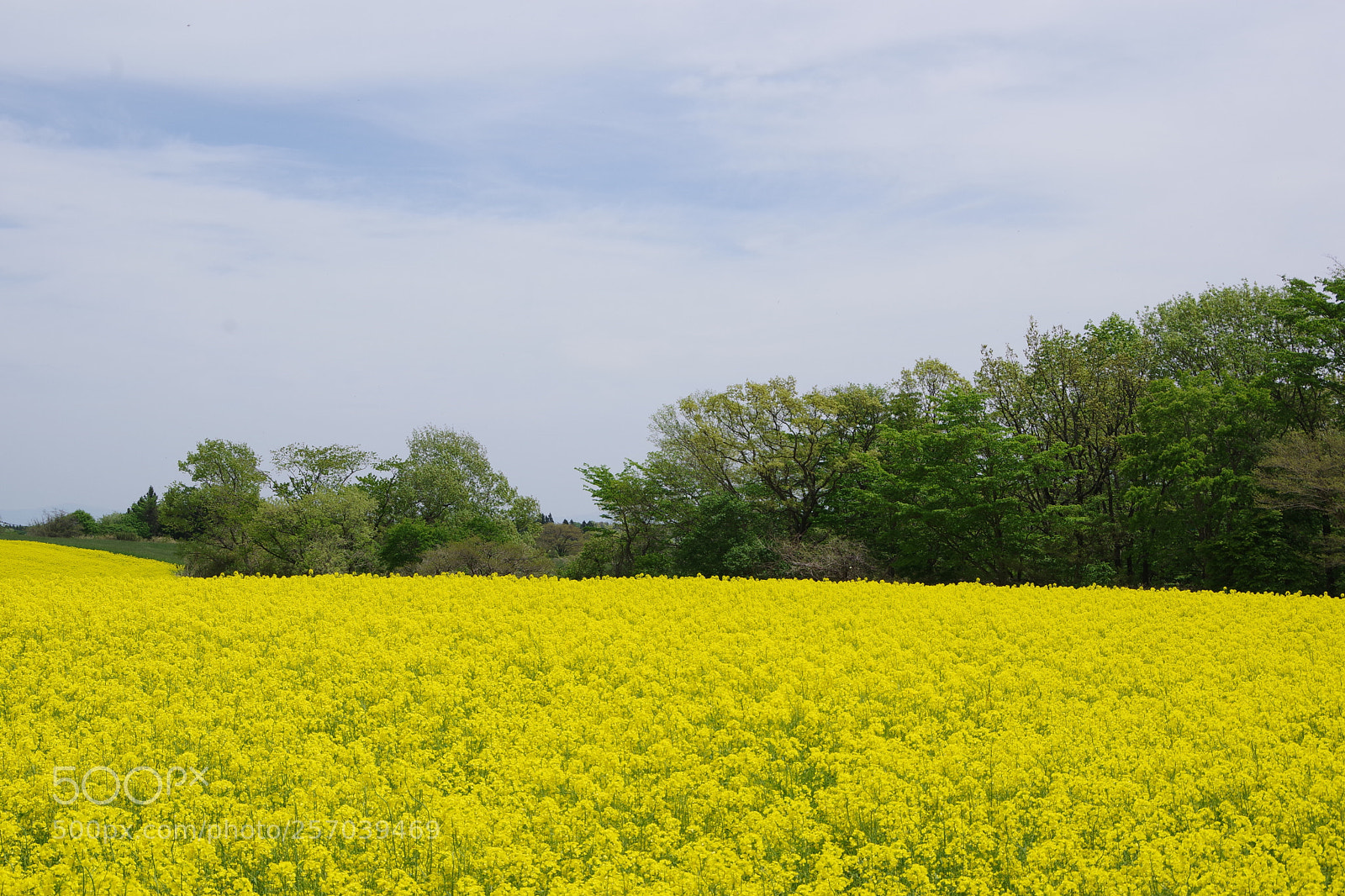 Pentax K-70 sample photo. Untitled photography