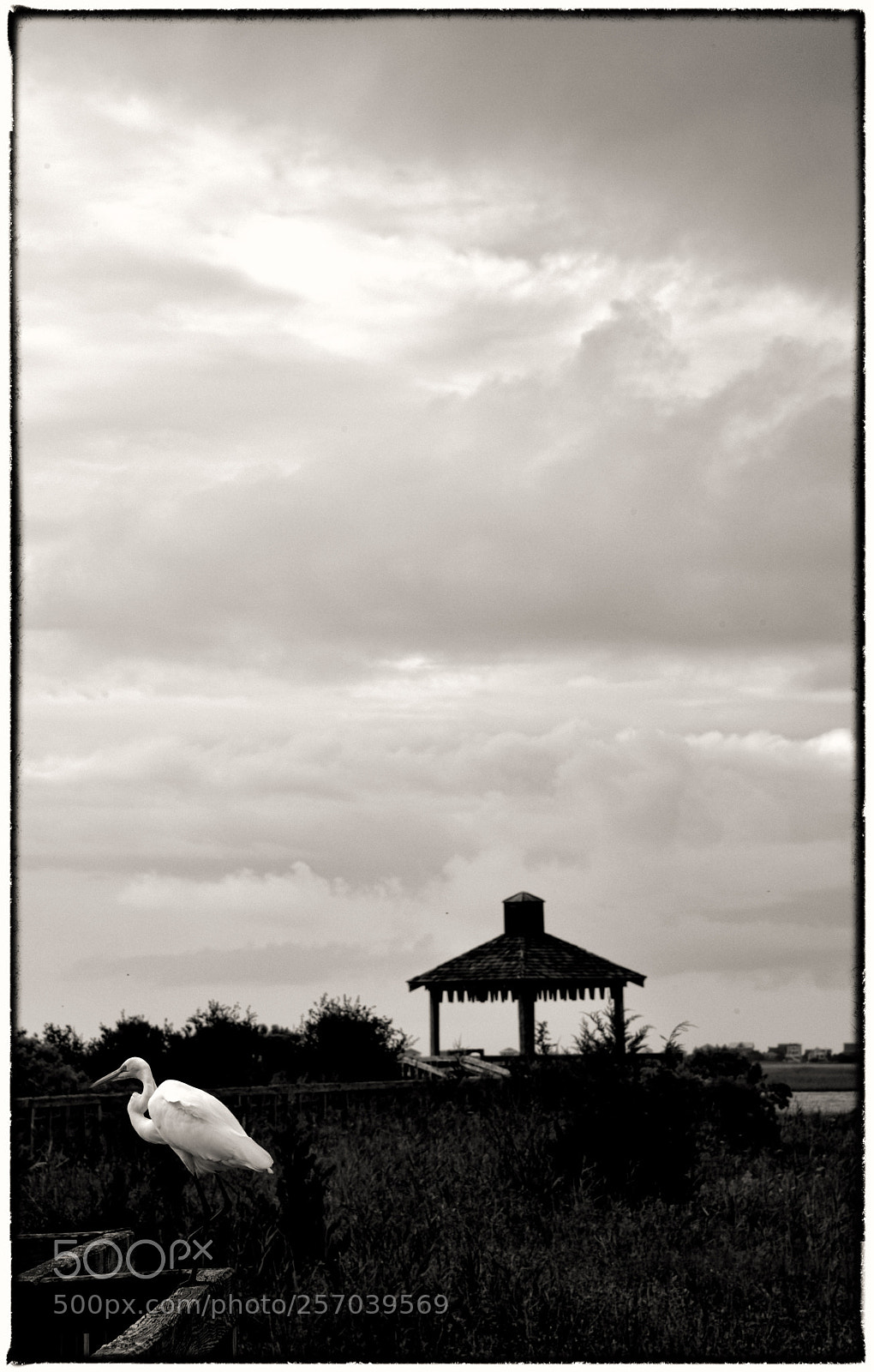 Nikon D810 sample photo. Untitled 78 photography