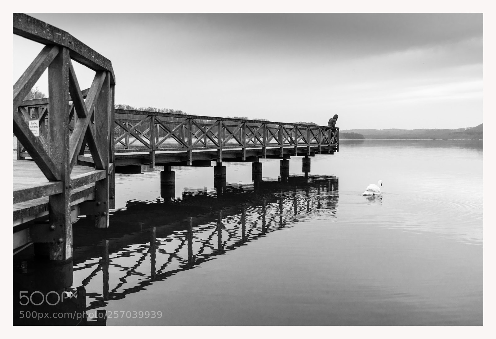 Nikon D500 sample photo. Schmachter see photography