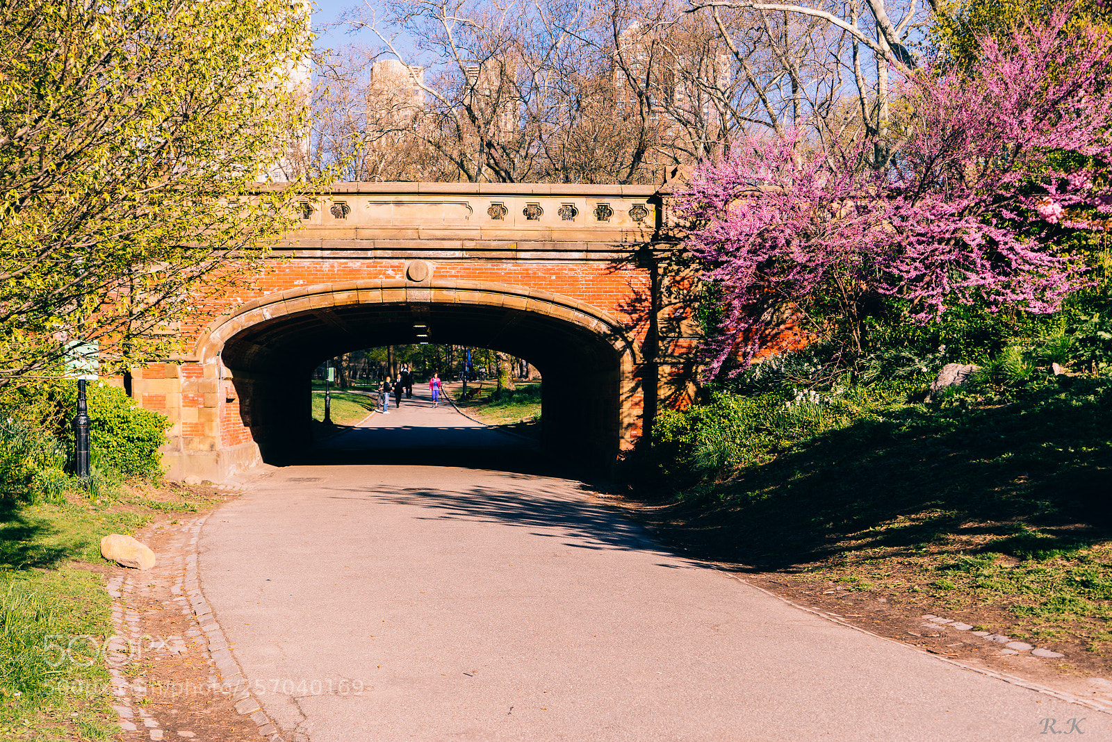 Sony a7R sample photo. Sometimes all you need photography
