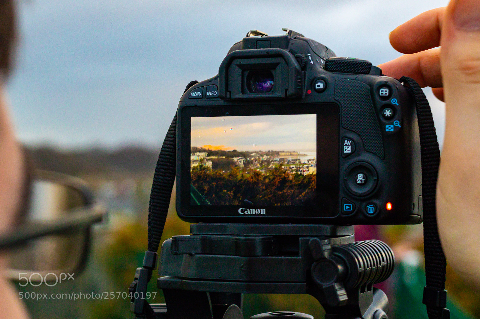 Canon EOS 750D (EOS Rebel T6i / EOS Kiss X8i) sample photo. Photoception photography