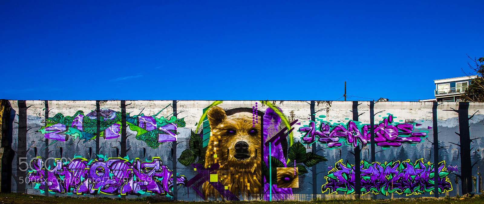 Canon EOS 6D sample photo. Beautiful mural in ruston photography