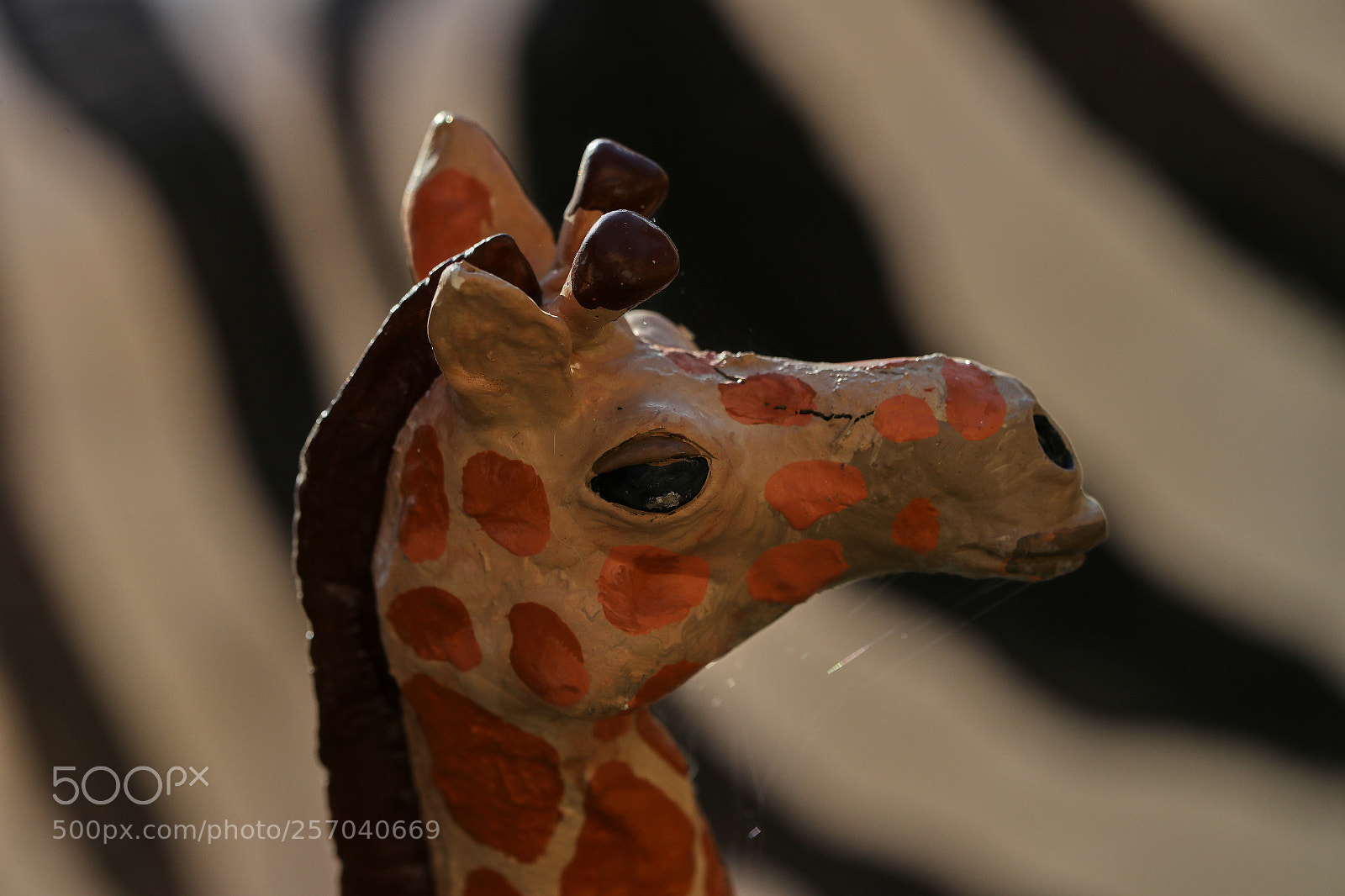 Canon EOS-1D X Mark II sample photo. 05-08-18-0016564.jpg photography