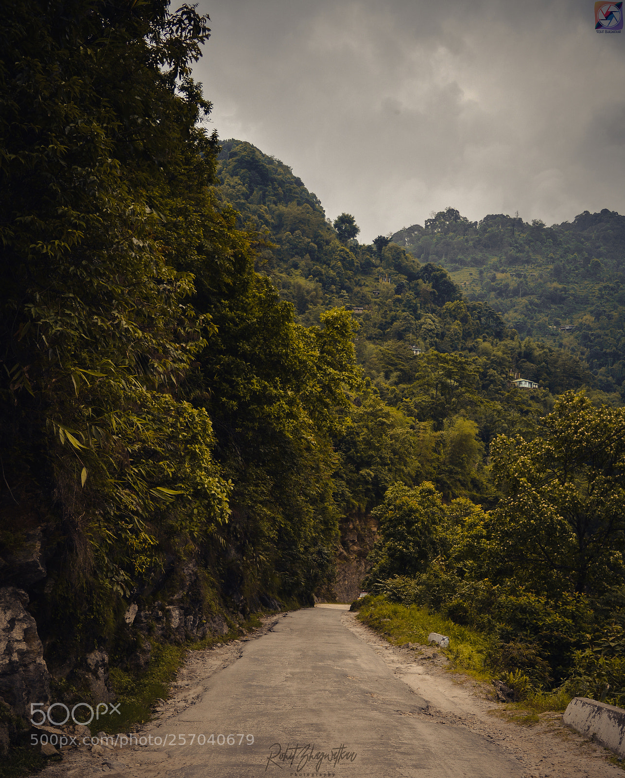 Nikon D5200 sample photo. Lost photography