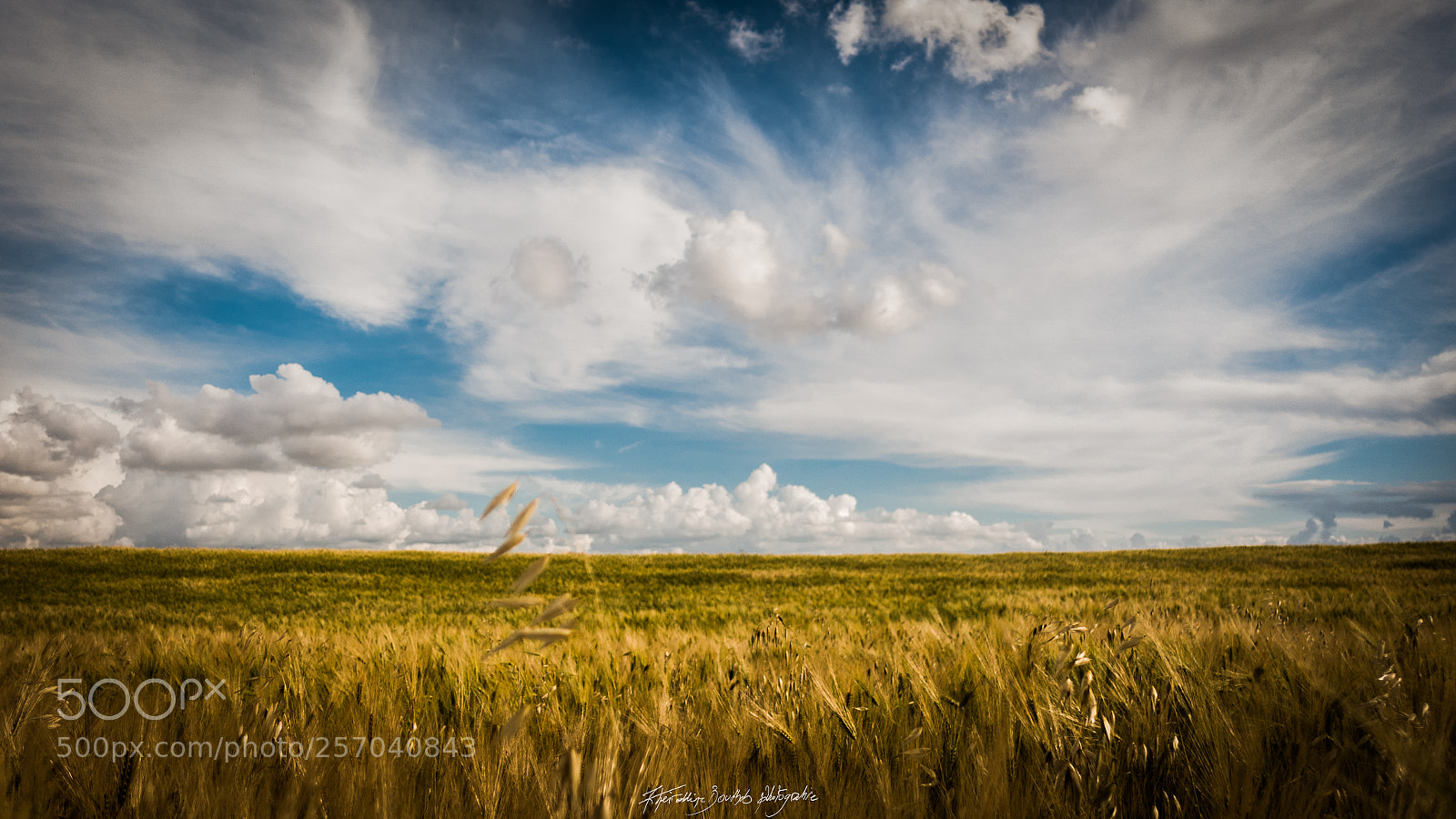 Sony DSC-RX100M5 sample photo. Golden landscape photography