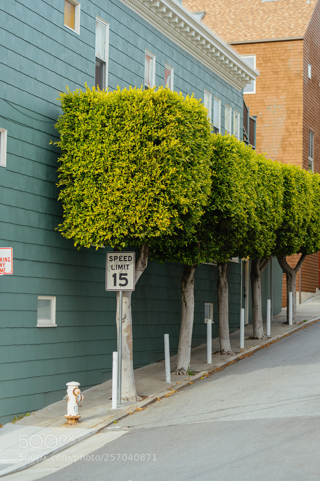Sony a7 II sample photo. Speed limit 15 photography