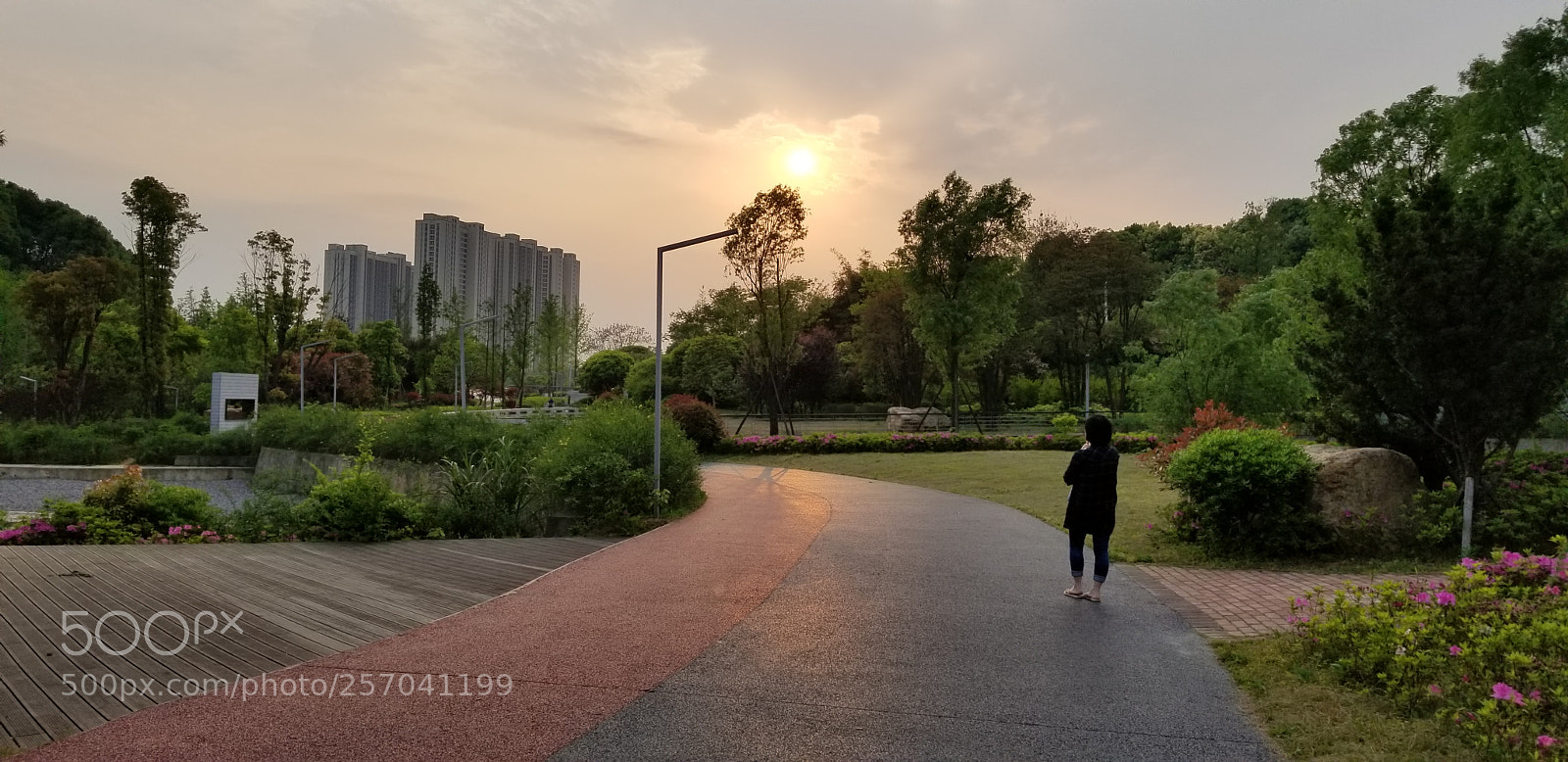 Samsung Galaxy S8+ sample photo. Untitled photography