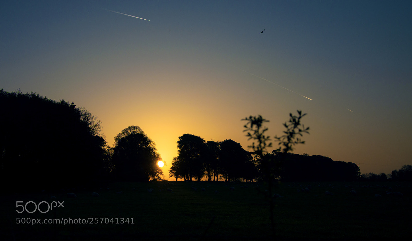 Nikon D3200 sample photo. Flightpath photography