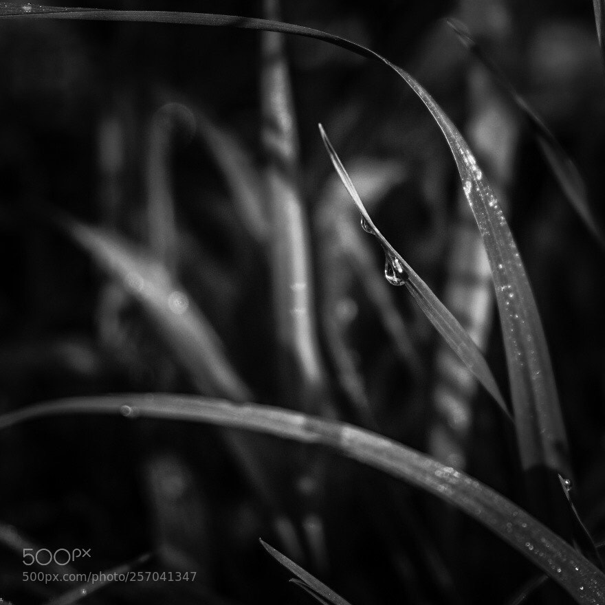 Fujifilm X-T20 sample photo. Untitled photography