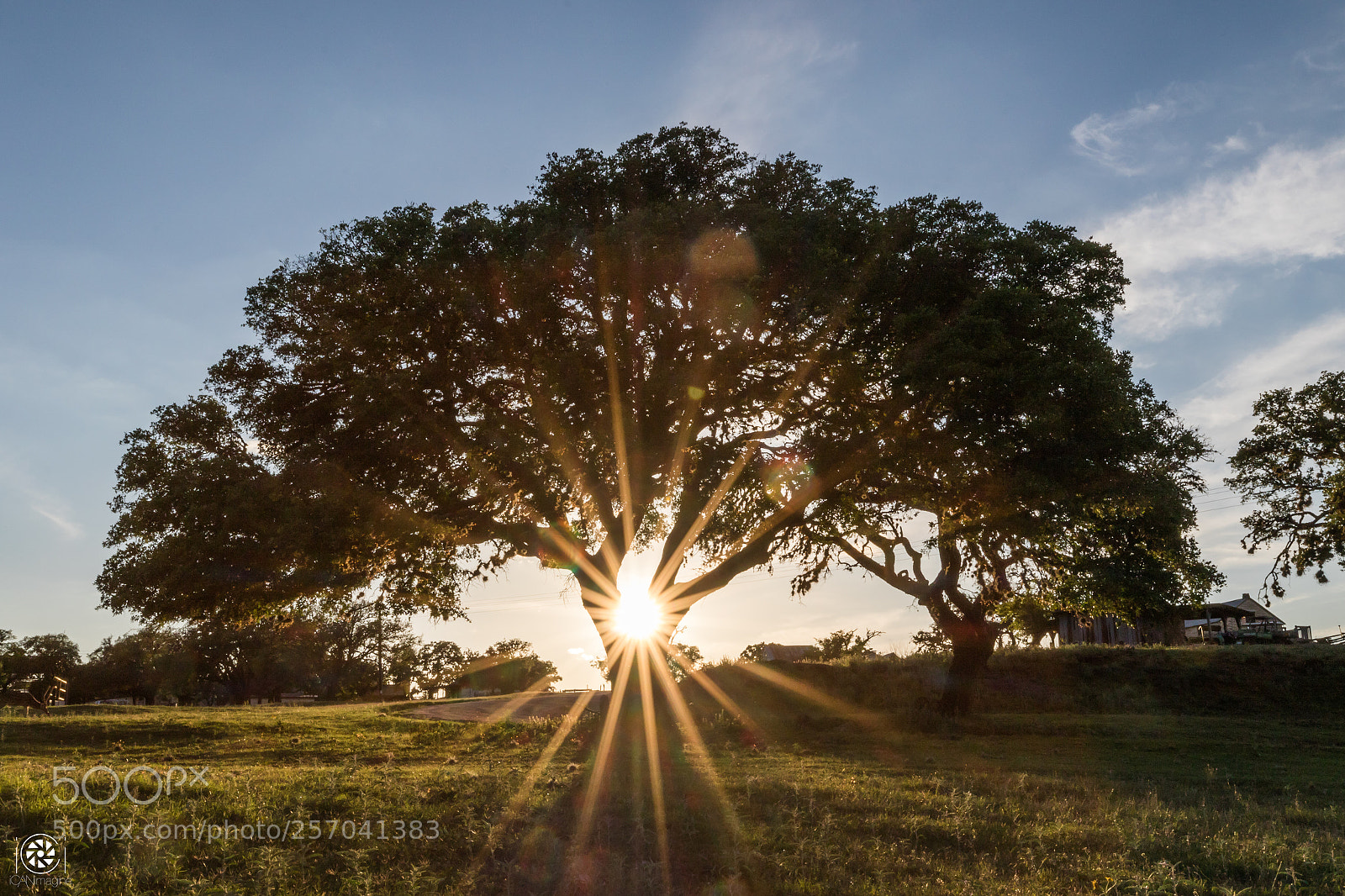 Canon EOS 7D Mark II sample photo. Hill country flair photography