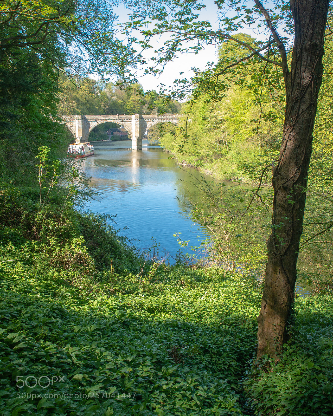 Panasonic Lumix DMC-G6 sample photo. The river wear at photography