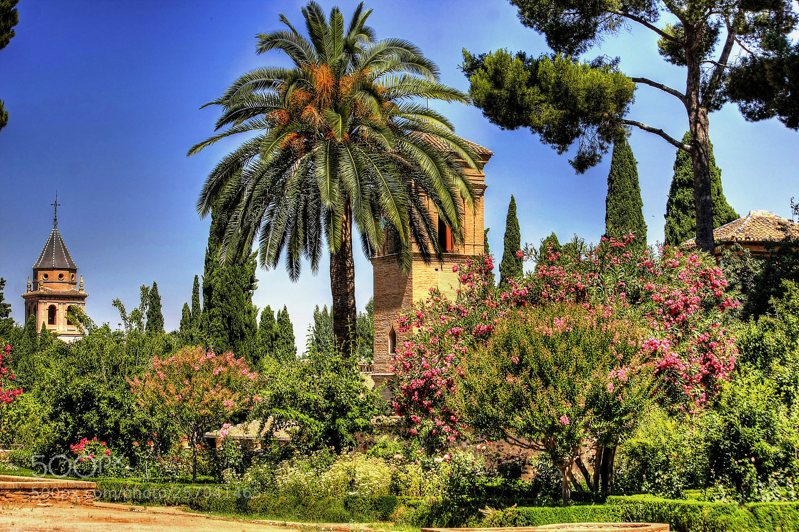 Canon EOS 40D sample photo. Generalife gardens photography
