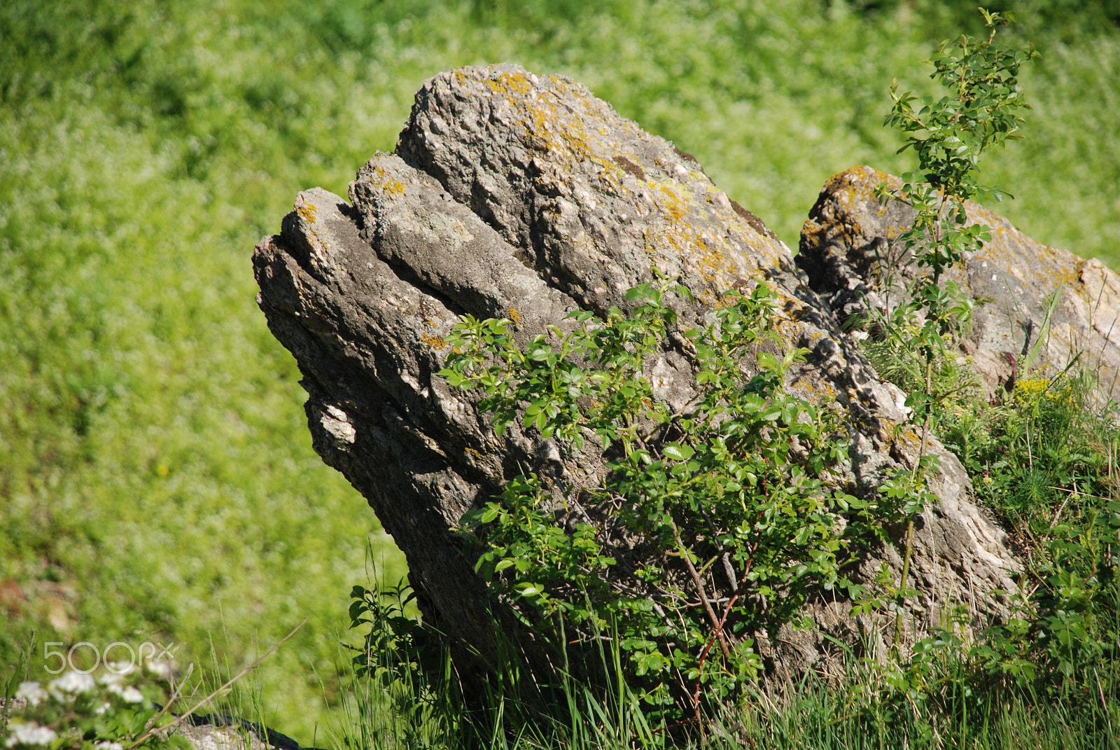 Nikon D80 sample photo. Ancient ruins of the fortress of light photography