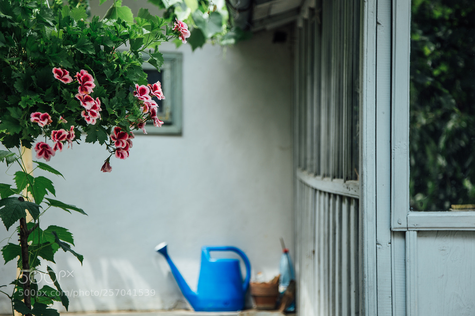 Canon EOS 6D sample photo. Grandpas porch photography