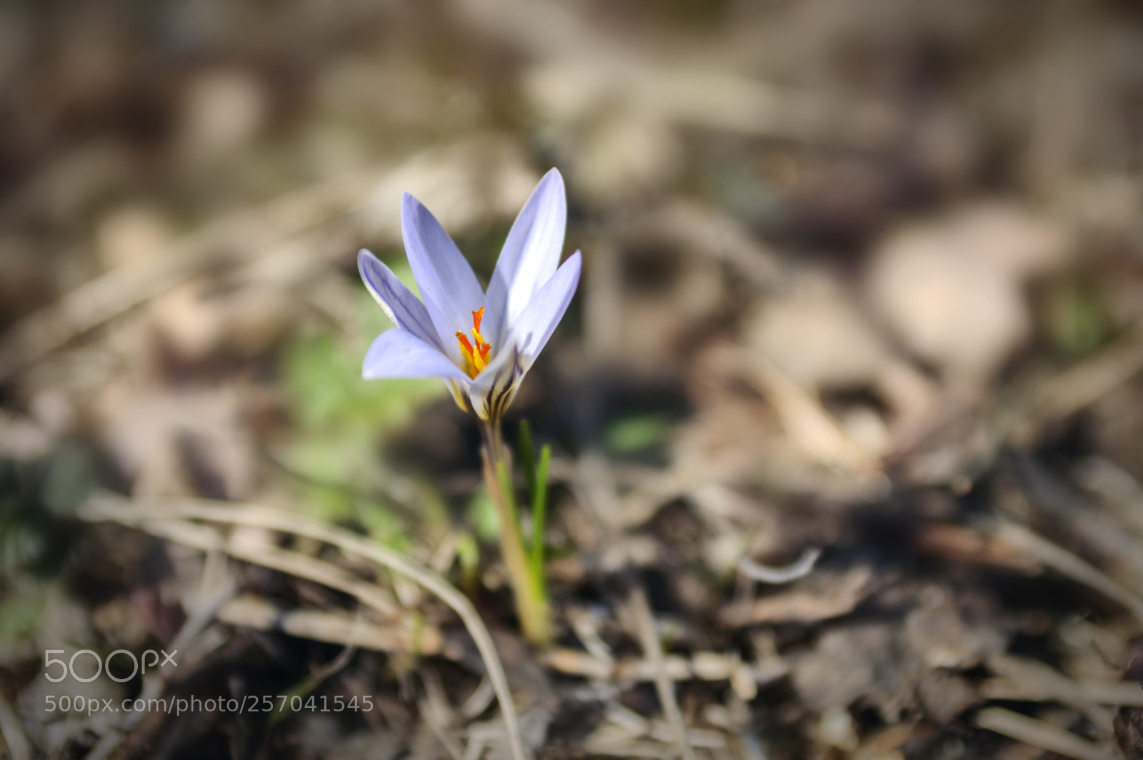 Nikon D90 sample photo. ... photography