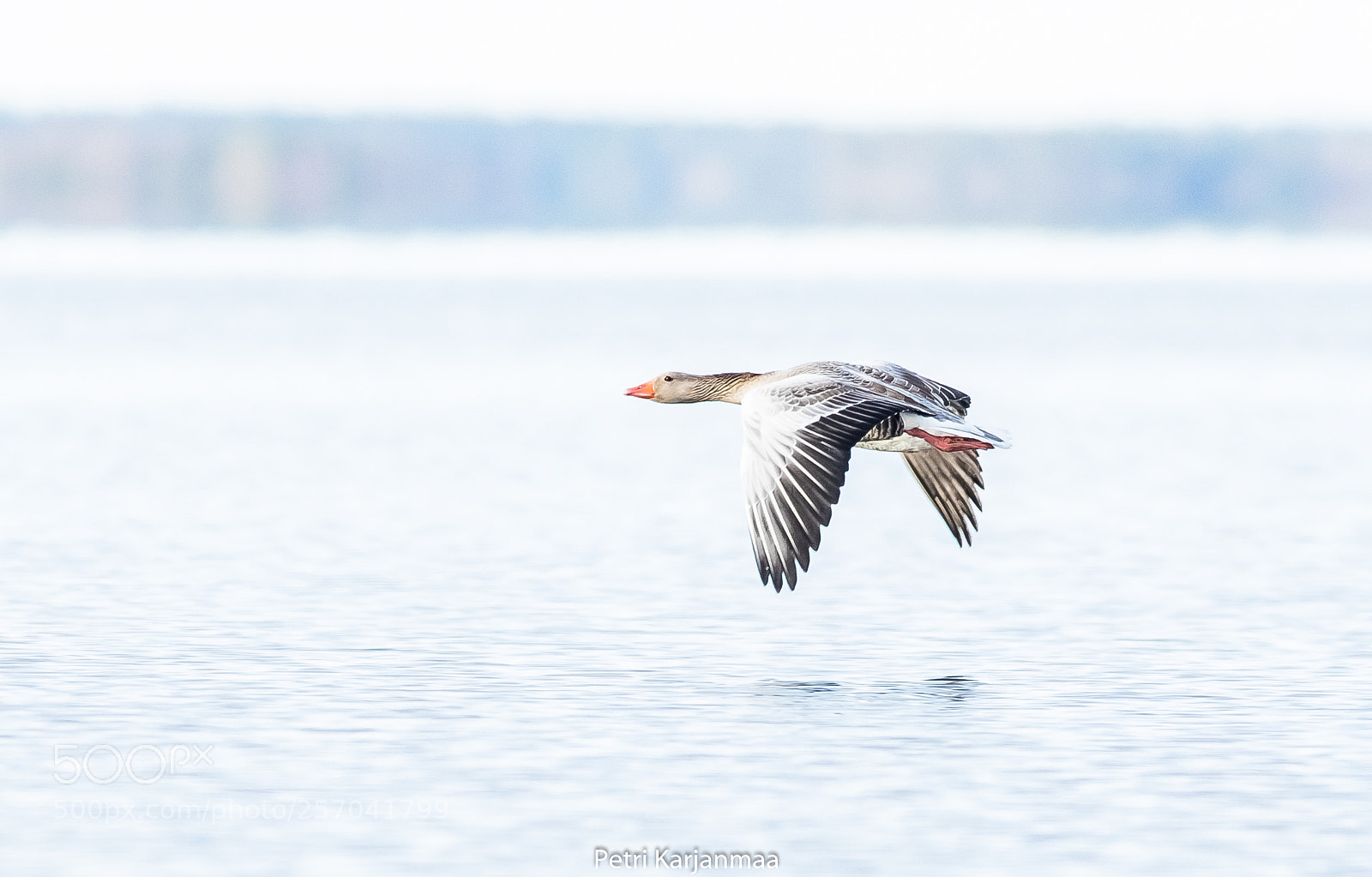 Canon EOS 7D Mark II sample photo. Beauty at sea photography