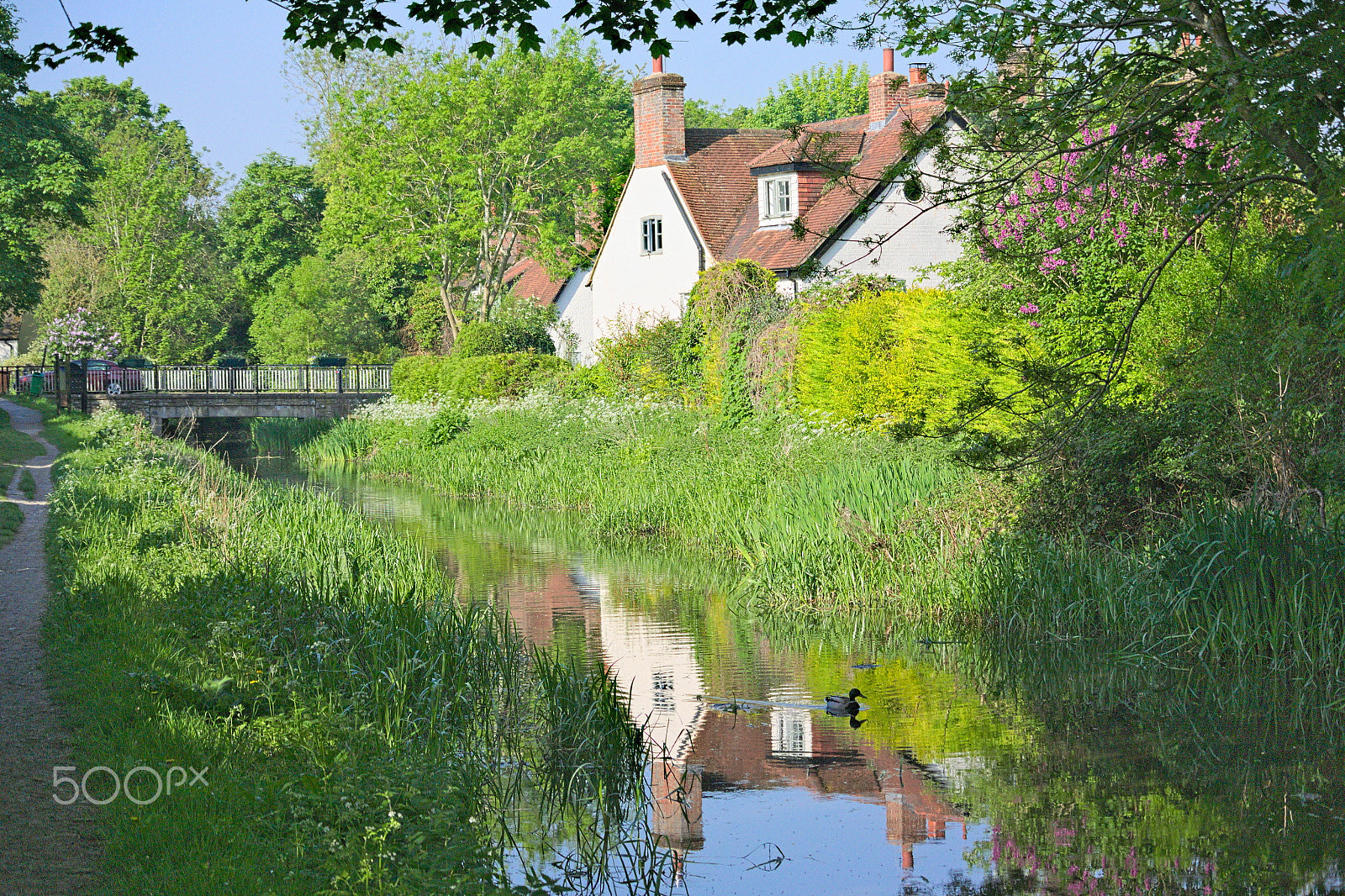 Nikon 1 V2 sample photo. Old cottage reflected in wendover canal photography