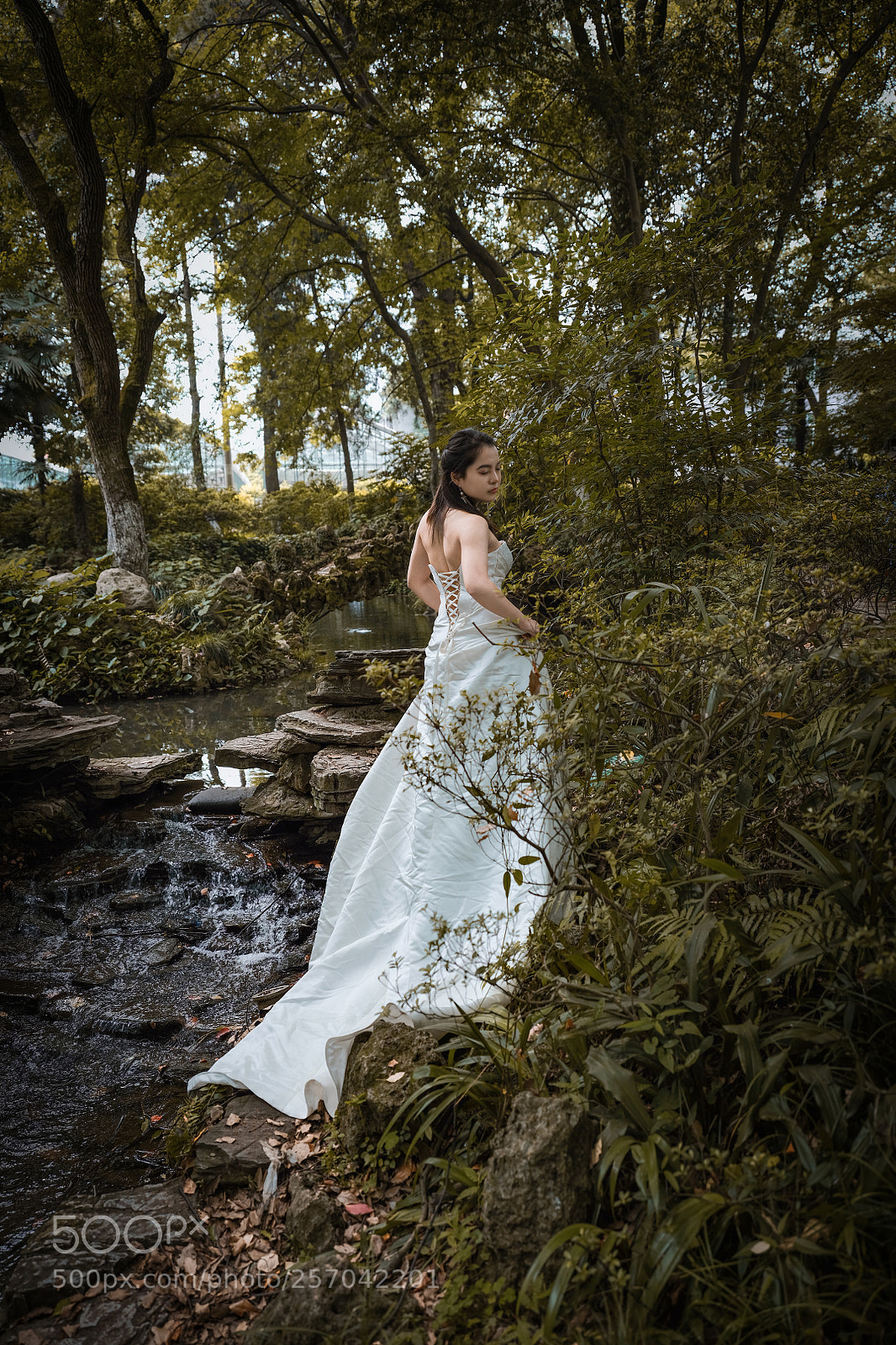 Fujifilm GFX 50S sample photo. Untitled photography