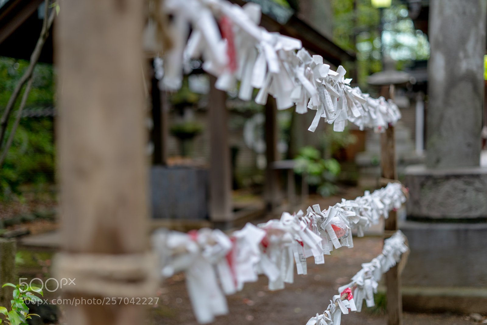 Sony a7 III sample photo. Edit photography
