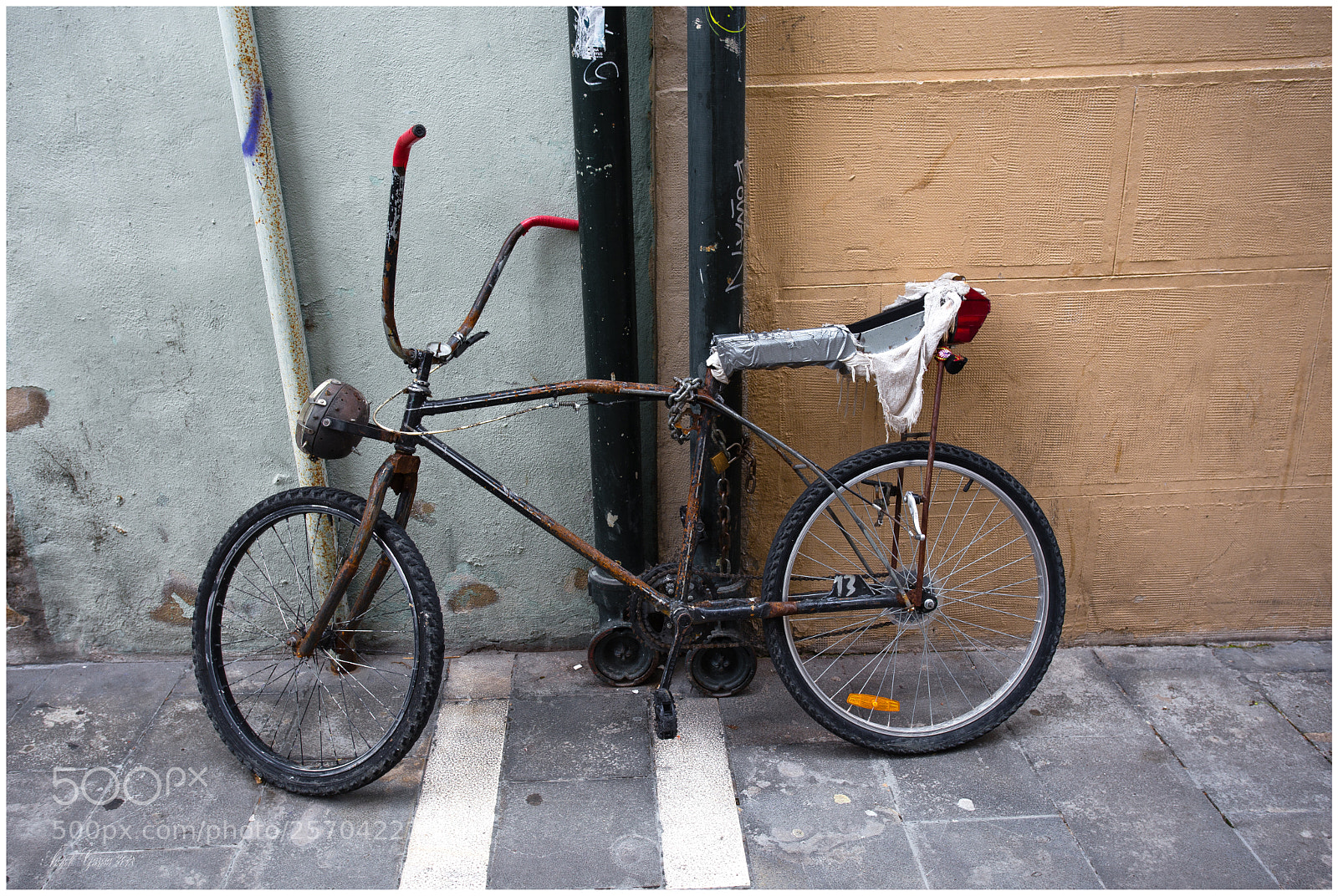 Canon EOS 6D sample photo. Dorsal 13 photography
